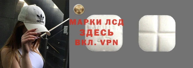 прущие крисы Александровское
